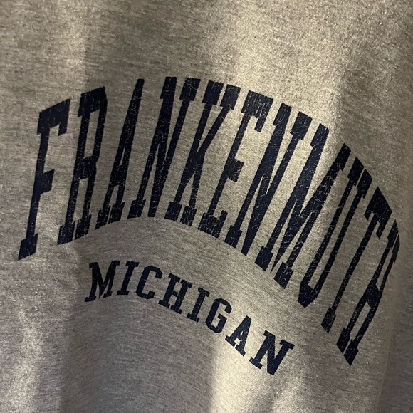 Grey oversized sweatshirt. Size M. Unisex. FRANKENUTH MICHIGAN. - Picture 3 of 5